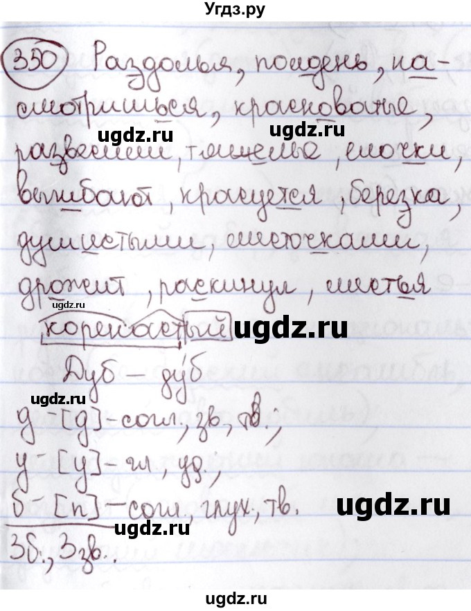 ГДЗ (Решебник к учебнику 2020) по русскому языку 6 класс Л. A. Мурина / упражнение / 350