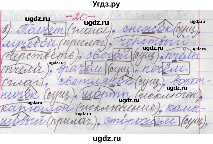 ГДЗ (Решебник №1 к учебнику 2015) по русскому языку 6 класс Л. А. Мурина / упражнение / 20