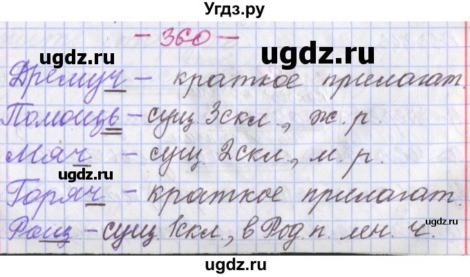 ГДЗ (Решебник №1 к учебнику 2015) по русскому языку 6 класс Л. А. Мурина / упражнение / 360