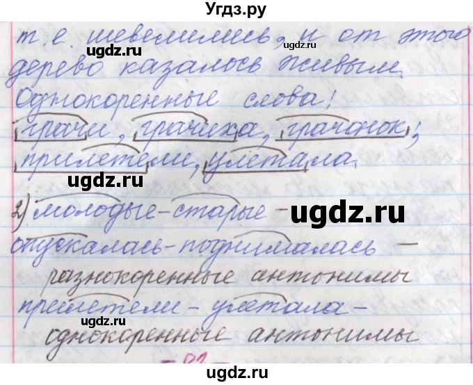 ГДЗ (Решебник №1 к учебнику 2015) по русскому языку 6 класс Л. A. Мурина / упражнение / 81(продолжение 2)