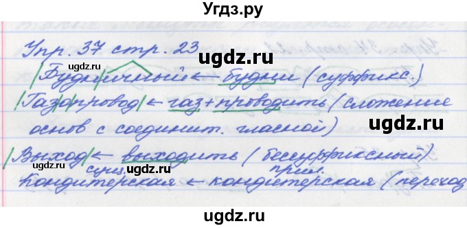 ГДЗ (Решебник №1) по русскому языку 6 класс (рабочая тетрадь) Ефремова Е.А. / упражнение номер / 37