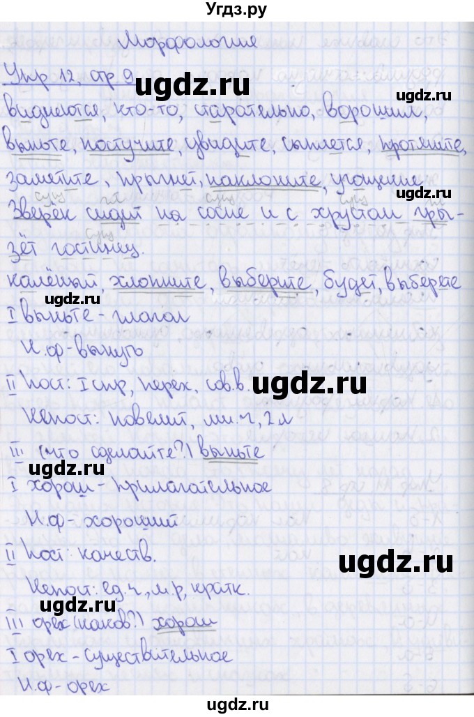 ГДЗ (Решебник 2014) по русскому языку 8 класс (рабочая тетрадь) Ефремова Е.А. / упражнение / 12