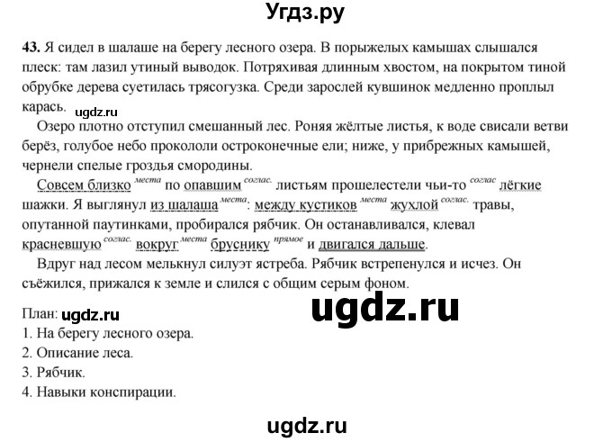 ГДЗ (Решебник 2024) по русскому языку 8 класс (рабочая тетрадь) Ефремова Е.А. / упражнение / 43