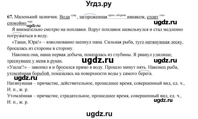 ГДЗ (Решебник 2024) по русскому языку 8 класс (рабочая тетрадь) Ефремова Е.А. / упражнение / 67