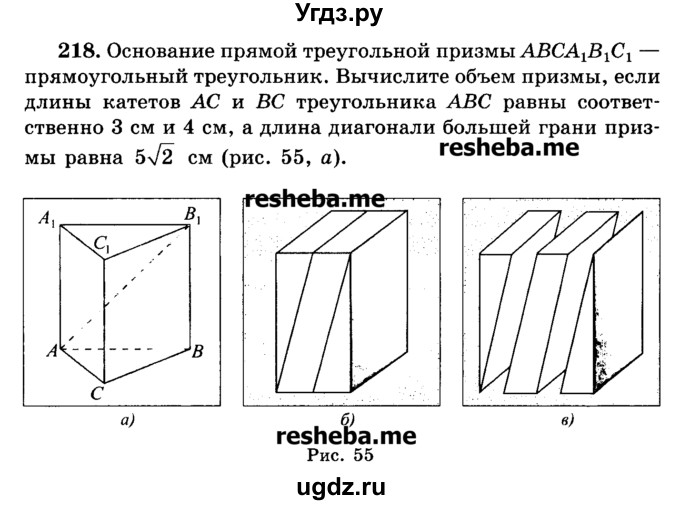 ГДЗ (Учебник) по геометрии 11 класс В.В. Шлыков / задача номер / 218