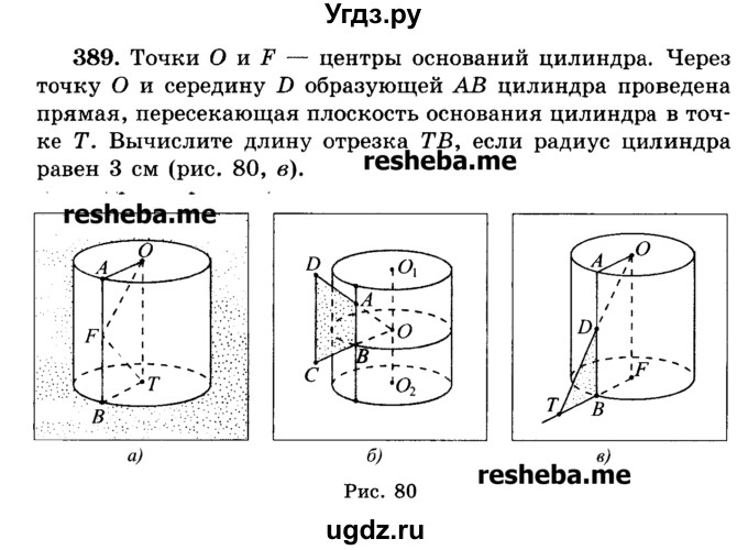 ГДЗ (Учебник) по геометрии 11 класс В.В. Шлыков / задача номер / 389