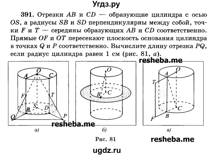 ГДЗ (Учебник) по геометрии 11 класс В.В. Шлыков / задача номер / 391
