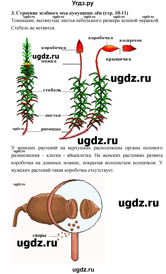 ГДЗ (Решебник) по биологии 7 класс (тетрадь-практикум) Сухорукова Л.Н. / страница номер / 10–11