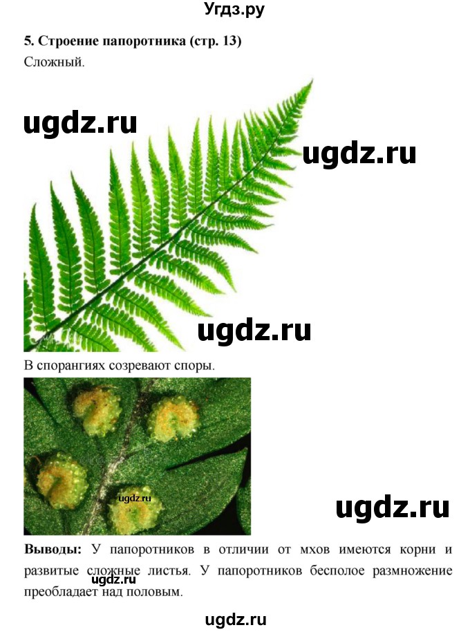 ГДЗ (Решебник) по биологии 7 класс (тетрадь-практикум) Сухорукова Л.Н. / страница номер / 13