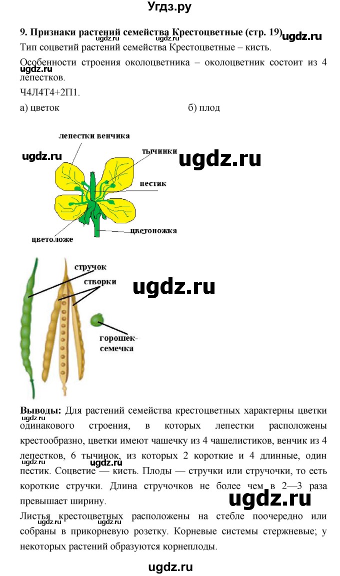 ГДЗ (Решебник) по биологии 7 класс (тетрадь-практикум) Сухорукова Л.Н. / страница номер / 19