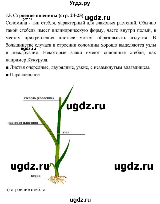 ГДЗ (Решебник) по биологии 7 класс (тетрадь-практикум) Сухорукова Л.Н. / страница номер / 24–25