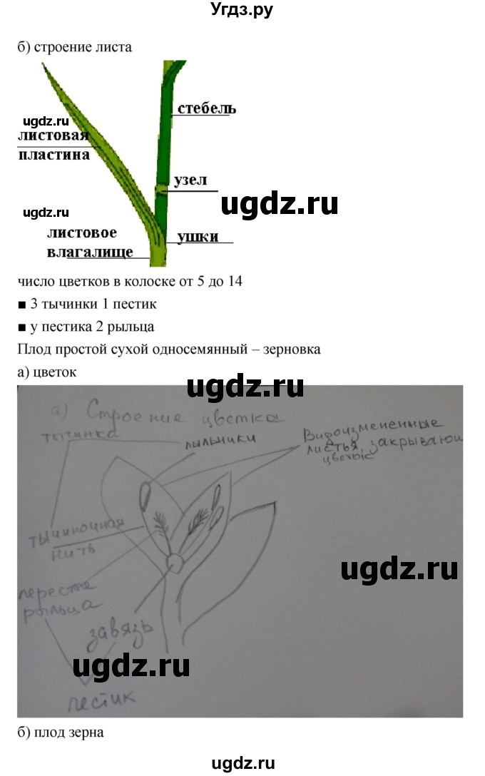 ГДЗ (Решебник) по биологии 7 класс (тетрадь-практикум) Сухорукова Л.Н. / страница номер / 24–25(продолжение 2)