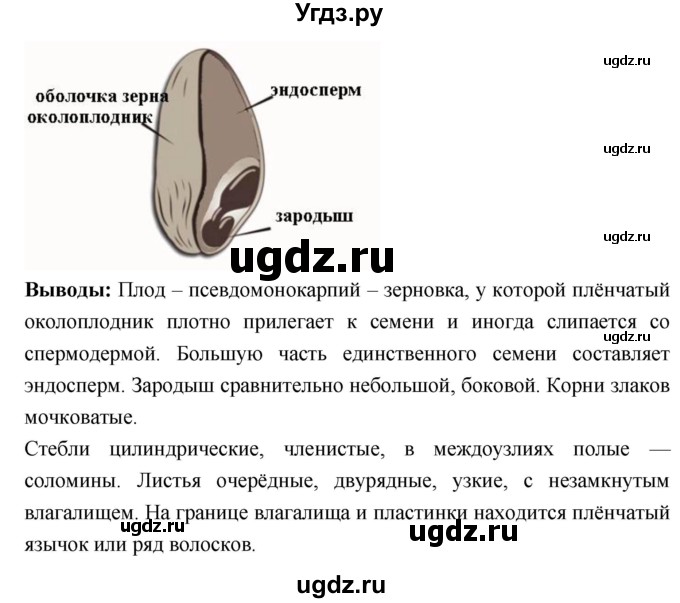 ГДЗ (Решебник) по биологии 7 класс (тетрадь-практикум) Сухорукова Л.Н. / страница номер / 24–25(продолжение 3)