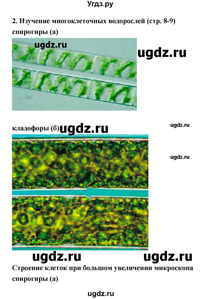 ГДЗ (Решебник) по биологии 7 класс (тетрадь-практикум) Сухорукова Л.Н. / страница номер / 8–9