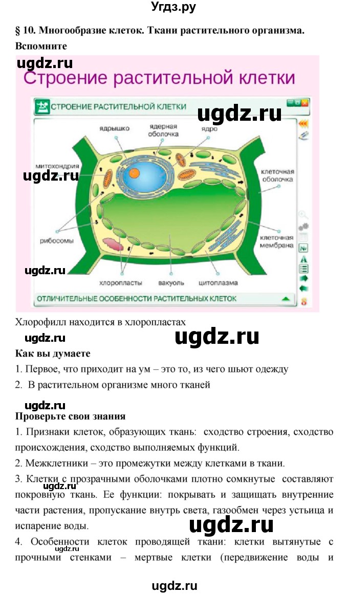 ГДЗ (Решебник) по биологии 6 класс Исаева Т.А. / параграф-№ / 10