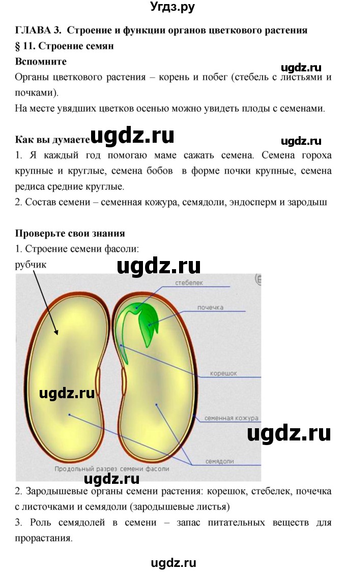 ГДЗ (Решебник) по биологии 6 класс Исаева Т.А. / параграф-№ / 11