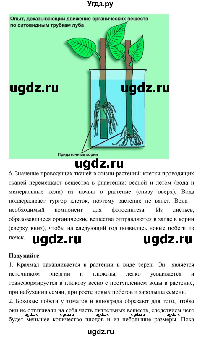 ГДЗ (Решебник) по биологии 6 класс Исаева Т.А. / параграф-№ / 24(продолжение 4)