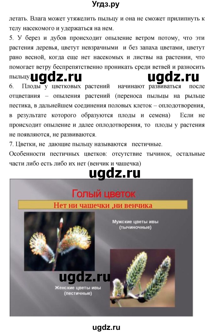 ГДЗ (Решебник) по биологии 6 класс Исаева Т.А. / параграф-№ / 28(продолжение 2)