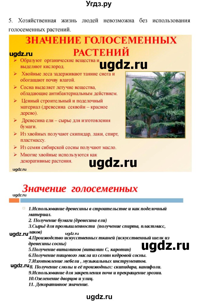 ГДЗ (Решебник) по биологии 6 класс Исаева Т.А. / параграф-№ / 41(продолжение 4)