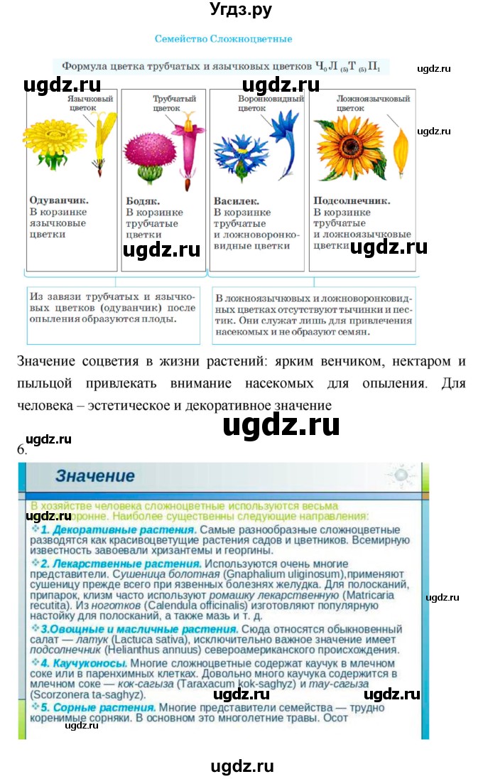 ГДЗ (Решебник) по биологии 6 класс Исаева Т.А. / параграф-№ / 43(продолжение 5)