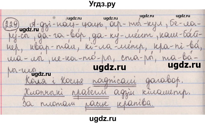 ГДЗ (Решебник №1) по белорусскому языку 5 класс Красней В. П. / часть 1 / упражнение номер / 229