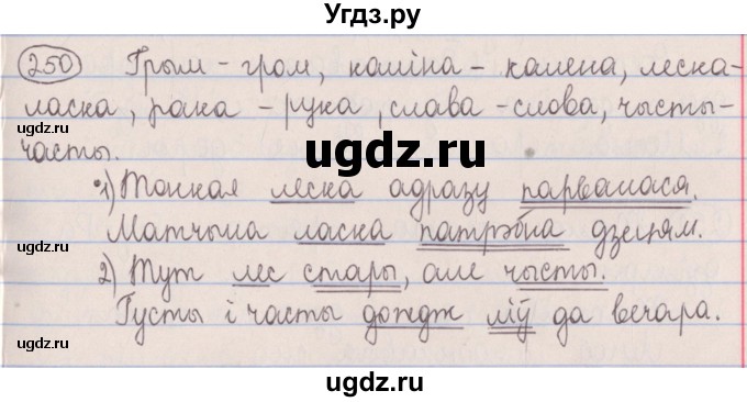 ГДЗ (Решебник №1) по белорусскому языку 5 класс Красней В. П. / часть 1 / упражнение номер / 250
