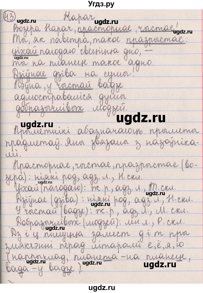 ГДЗ (Решебник №1) по белорусскому языку 5 класс Красней В. П. / часть 1 / упражнение номер / 43