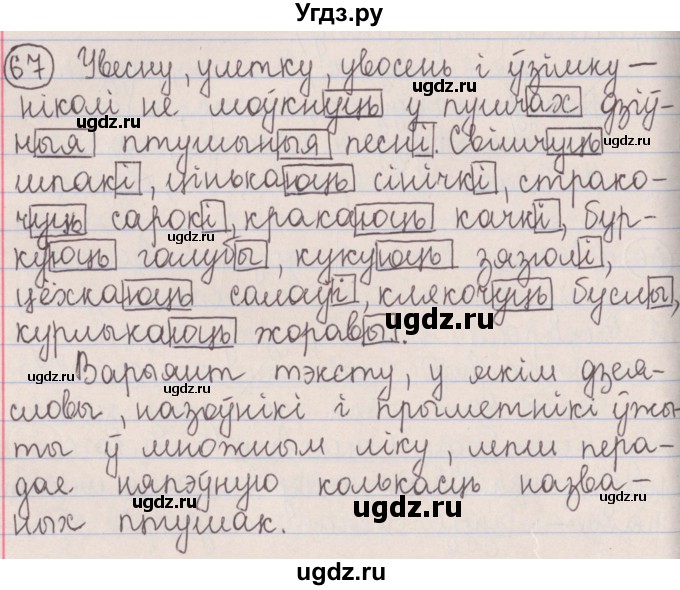 ГДЗ (Решебник №1) по белорусскому языку 5 класс Красней В. П. / часть 1 / упражнение номер / 67