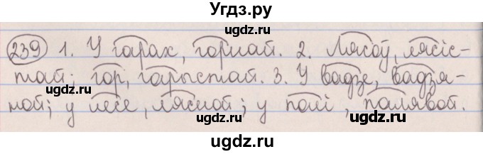 ГДЗ (Решебник №1) по белорусскому языку 5 класс Красней В. П. / часть 2 / упражнение номер / 239