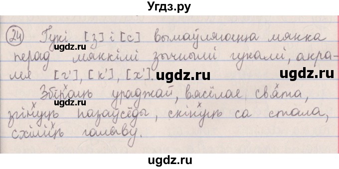 ГДЗ (Решебник №1) по белорусскому языку 5 класс Красней В. П. / часть 2 / упражнение номер / 24