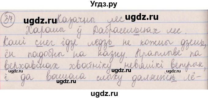 ГДЗ (Решебник №1) по белорусскому языку 5 класс Красней В. П. / часть 2 / упражнение номер / 37