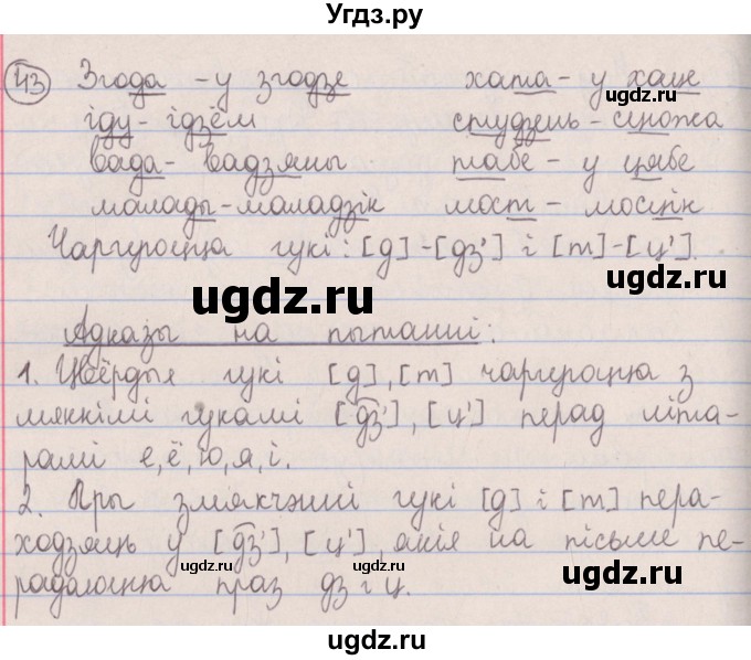 ГДЗ (Решебник №1) по белорусскому языку 5 класс Красней В. П. / часть 2 / упражнение номер / 43