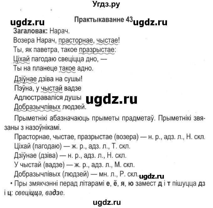 ГДЗ (Решебник №2) по белорусскому языку 5 класс Красней В. П. / часть 1 / упражнение номер / 43