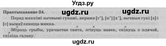ГДЗ (Решебник №4) по белорусскому языку 5 класс Красней В. П. / часть 2 / упражнение номер / 24