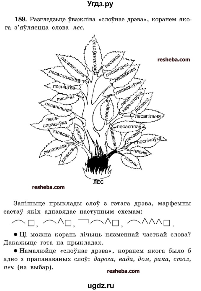 ГДЗ (Учебник) по белорусскому языку 5 класс Красней В. П. / часть 2 / упражнение номер / 189