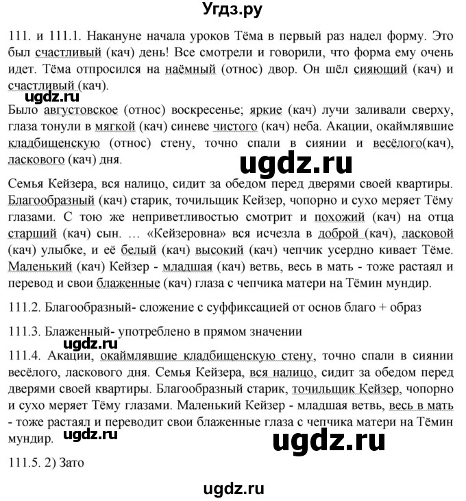 ГДЗ (Решебник к учебнику 2022) по русскому языку 11 класс Гусарова И.В. / упражнение / 111