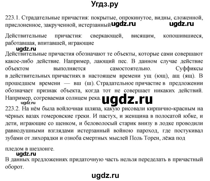 ГДЗ (Решебник к учебнику 2022) по русскому языку 11 класс Гусарова И.В. / упражнение / 223(продолжение 2)