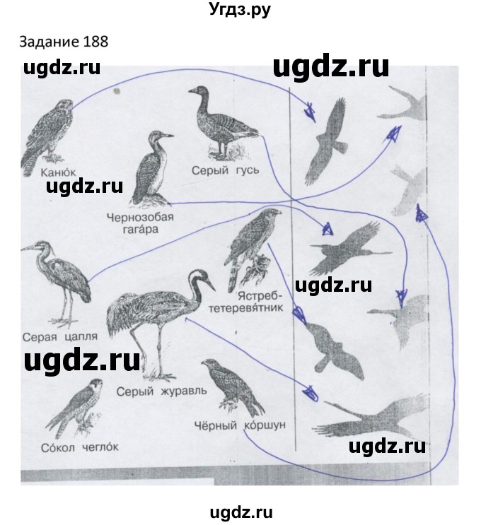 ГДЗ (Решебник) по информатике 4 класс (рабочая тетрадь) Семенов А.Л. / номер / 188