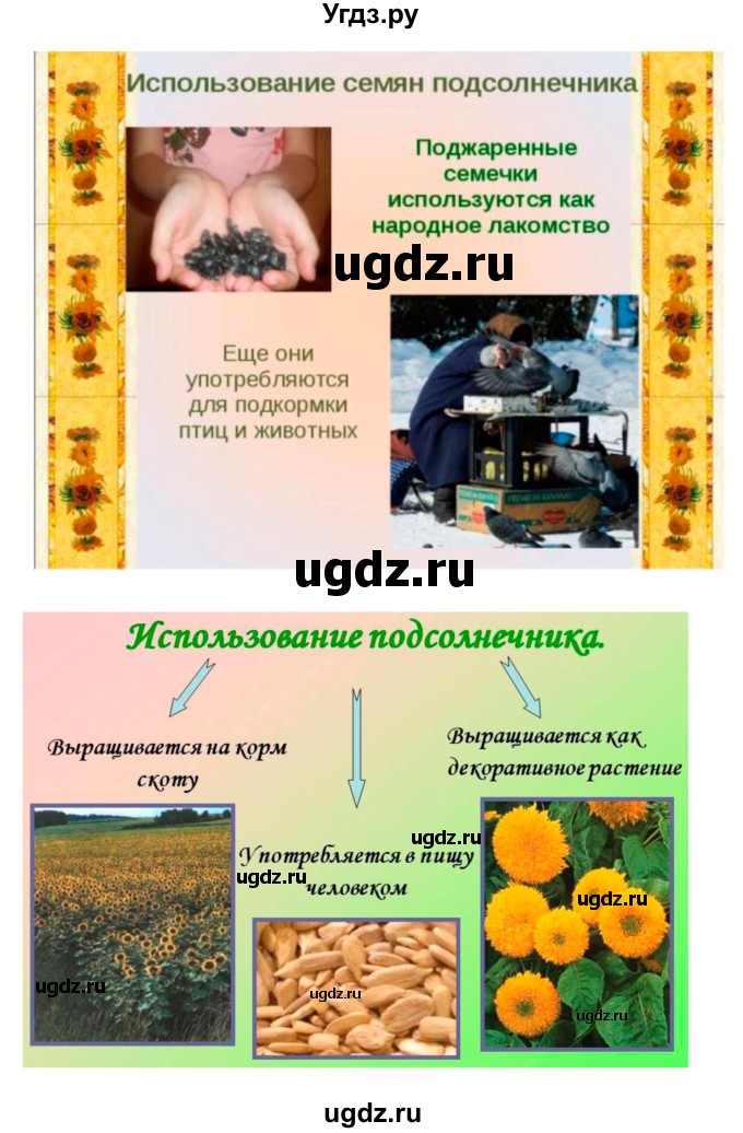 ГДЗ (Решебник 1) по биологии 7 класс Пономарева И.Н. / параграф номер / 10(продолжение 2)