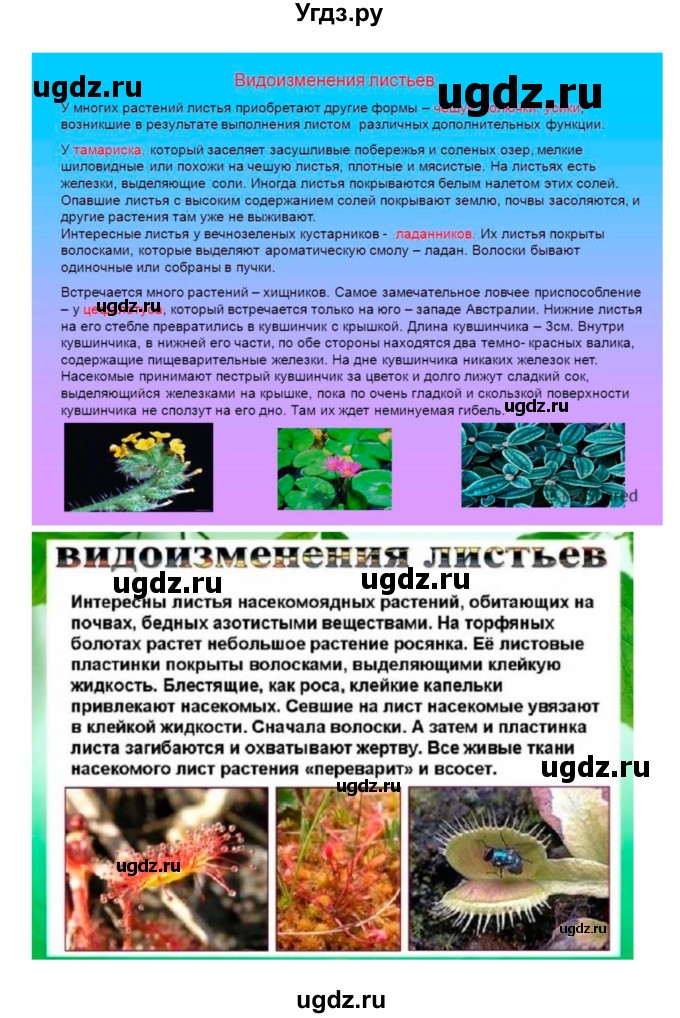 ГДЗ (Решебник 1) по биологии 7 класс Пономарева И.Н. / параграф номер / 18(продолжение 2)
