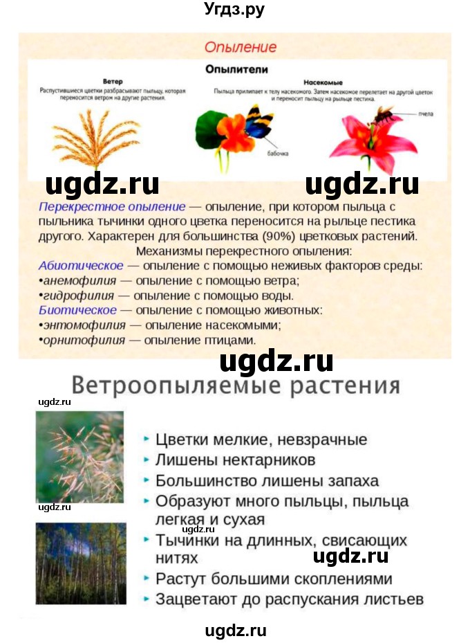 ГДЗ (Решебник 1) по биологии 7 класс Пономарева И.Н. / параграф номер / 22(продолжение 3)