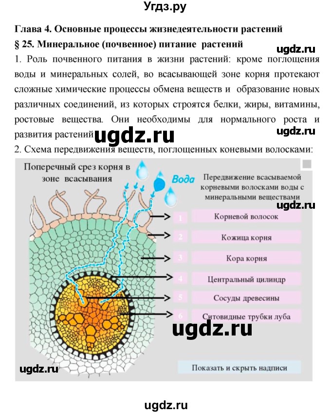 ГДЗ (Решебник 1) по биологии 7 класс Пономарева И.Н. / параграф номер / 25
