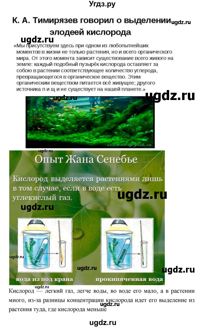 ГДЗ (Решебник 1) по биологии 7 класс Пономарева И.Н. / параграф номер / 26(продолжение 2)