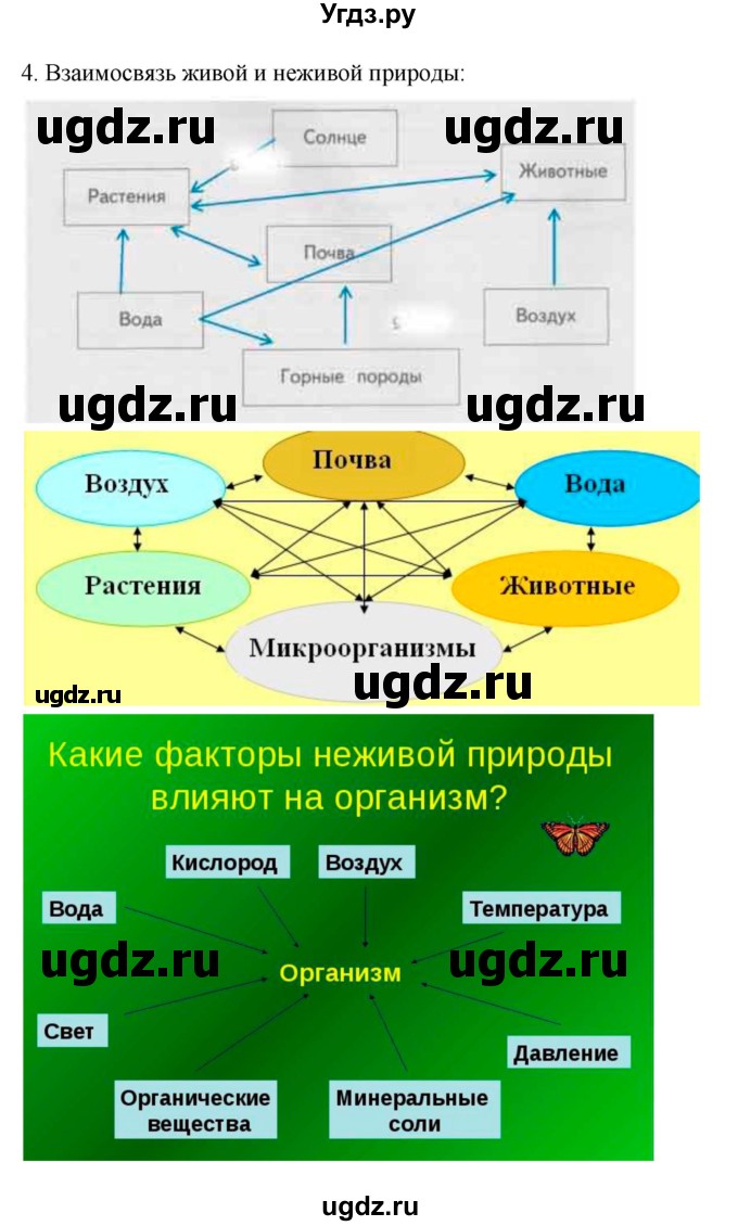 ГДЗ (Решебник 1) по биологии 7 класс Пономарева И.Н. / параграф номер / 27(продолжение 2)