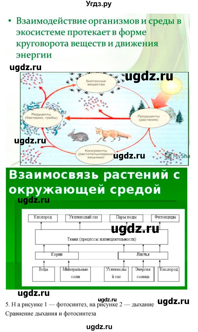 ГДЗ (Решебник 1) по биологии 7 класс Пономарева И.Н. / параграф номер / 28(продолжение 2)