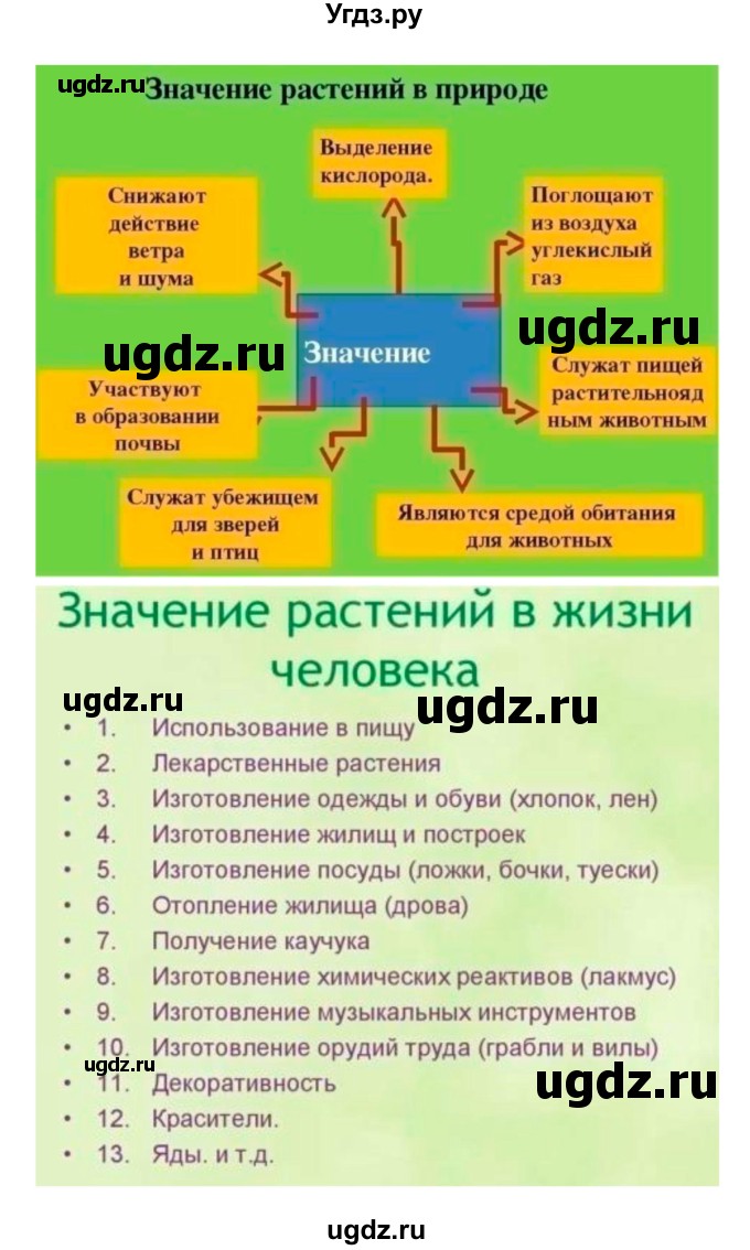 ГДЗ (Решебник 1) по биологии 7 класс Пономарева И.Н. / параграф номер / 3(продолжение 5)