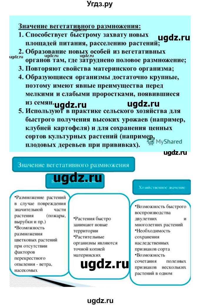 ГДЗ (Решебник 1) по биологии 7 класс Пономарева И.Н. / параграф номер / 31(продолжение 4)