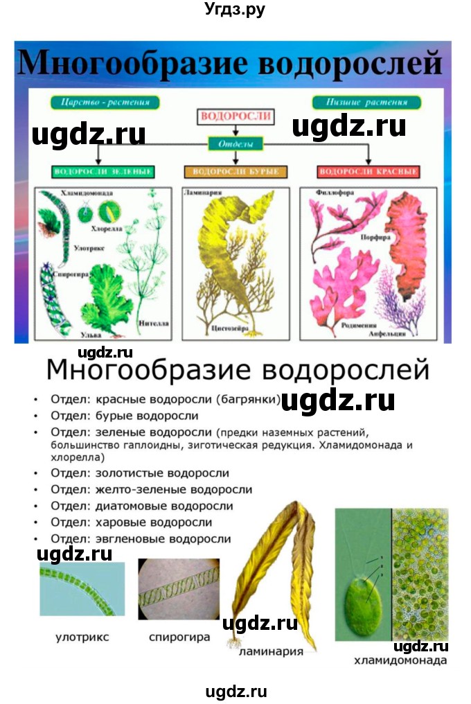 ГДЗ (Решебник 1) по биологии 7 класс Пономарева И.Н. / параграф номер / 37(продолжение 2)