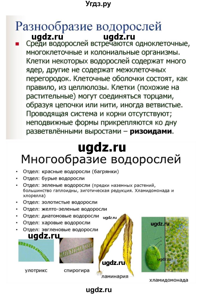 ГДЗ (Решебник 1) по биологии 7 класс Пономарева И.Н. / параграф номер / 37(продолжение 3)