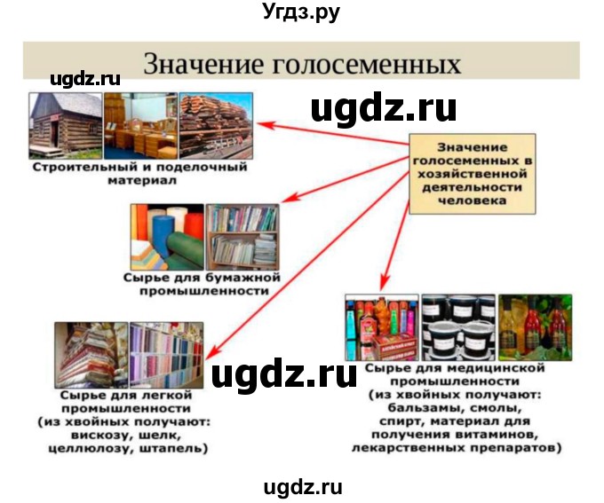 ГДЗ (Решебник 1) по биологии 7 класс Пономарева И.Н. / параграф номер / 4(продолжение 3)